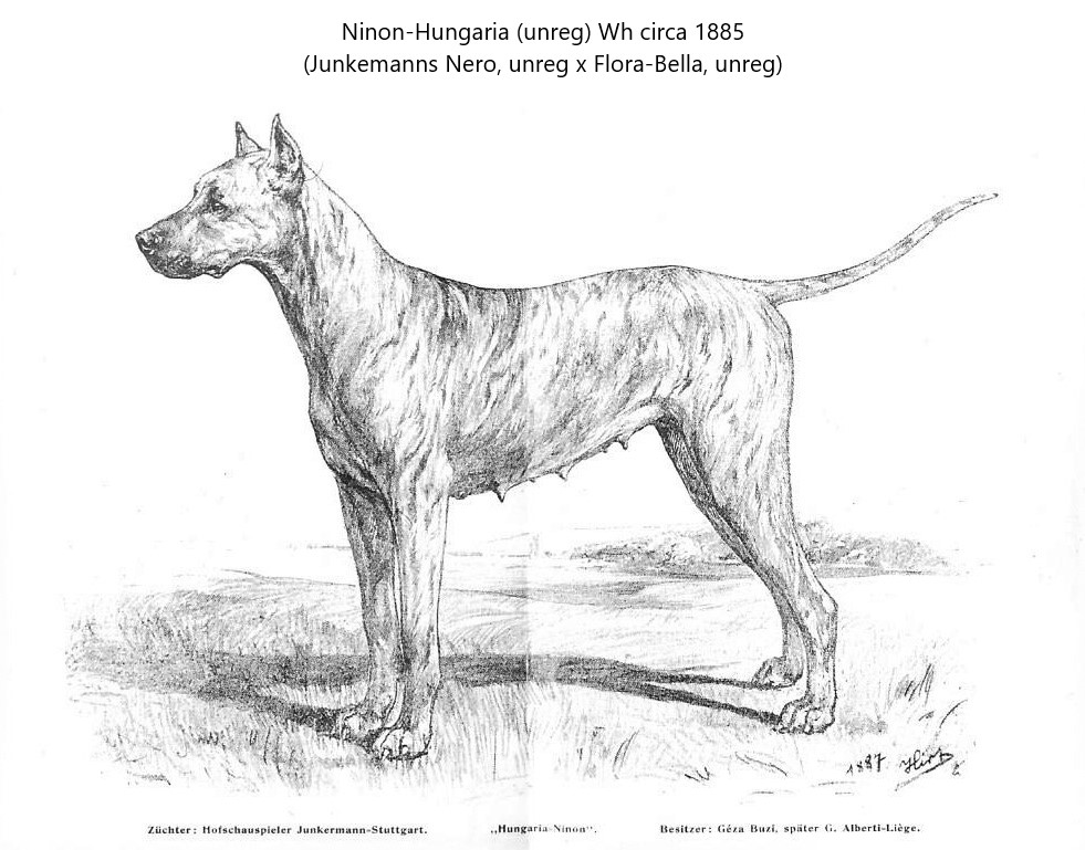 Nimon-Hungaria